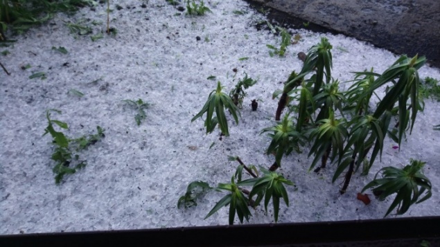 «Плакать хочется, все побило»: на Назарово обрушился крупный град