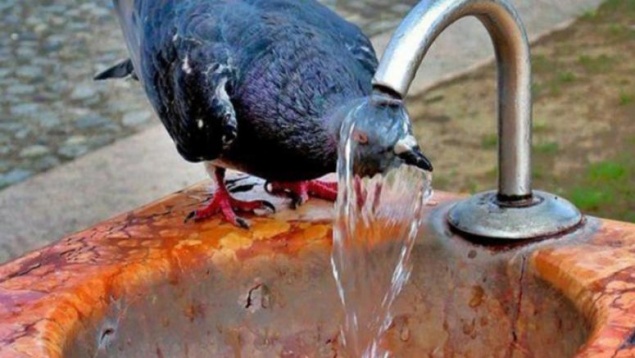 ЕДДС: рекомендации населению в связи с установившейся жаркой погодой