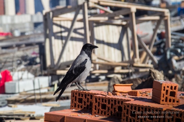 Что нас ждёт в июле: бюджетников рассчитают «МИРом», а строителям запретят брать деньги у дольщиков