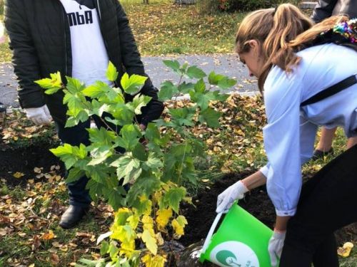 Кедры, сосны, яблони, рябины, акация, сирень, барбарисы: более 5,5 тысяч новых деревьев и кустарников высажено в Ачинске в 2018 году