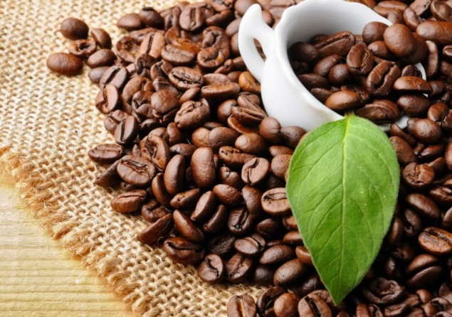 Советы водителям: избавим от похмелья и перегара в кратчайшие сроки