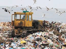 «Рискуем завалиться мусором»: краевые депутаты прокомментировали создание всероссийского оператора по отходам