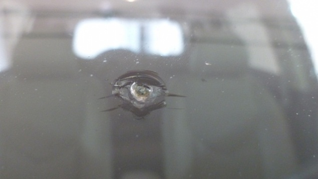 В чем опасность точечного скола на лобовом стекле