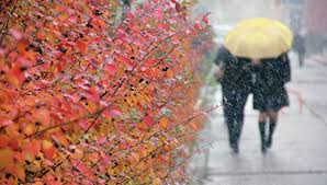 Холодную неделю со снегом и заморозками обещают синоптики в Красноярске