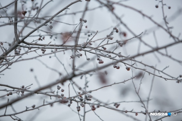 «Отрицательные аномалии»: синоптики дали прогноз на декабрь и новогоднюю ночь