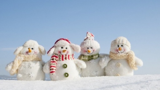 В красноярском Фанпарке «Бобровый лог» отметят Всемирный день снега