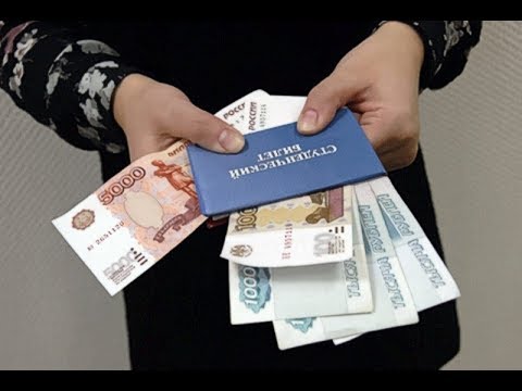 Преподавателя красноярского вуза взяли под стражу за взятку от абитуриента магистратуры