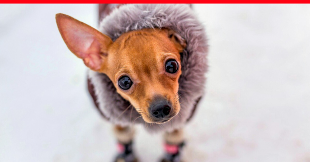 «Это редчайший случай»: федеральные синоптики назвали погоду в Красноярске невероятно тёплой