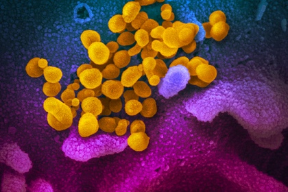 Дети оказались скрытыми разносчиками коронавируса