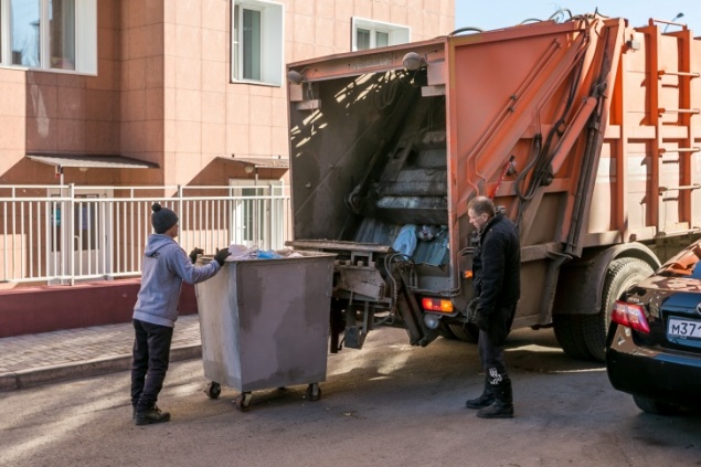 В Большеулуйском районе мать с сыном срубили вековые кедры на 29 миллионов рублей и оставили местных жителей без шишки