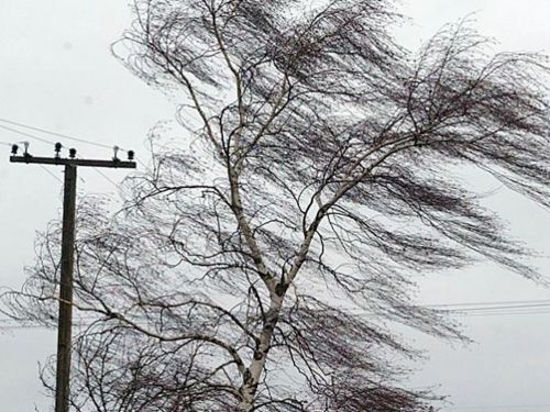 Ачинск переживает штормовой ветер без серьёзных ЧП