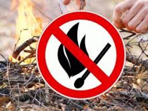 С 14 апреля на территории Ачинска вводится особый противопожарный режим