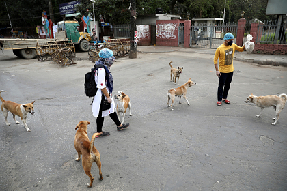 Назван главный виновник пандемии коронавируса