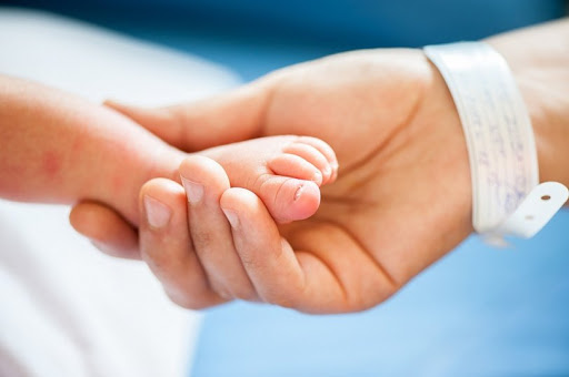 Депутат Законодательного Собрания рассказала, кто и когда получит «президентские» выплаты на детей