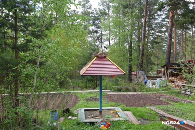 В Курагино мать пыталась вытащить полуторагодовалую дочь из септика, и в итоге погибли обе