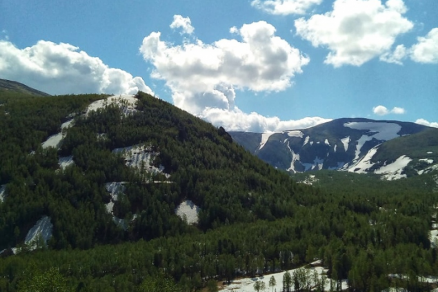 В Приисковом со скалы сорвался турист