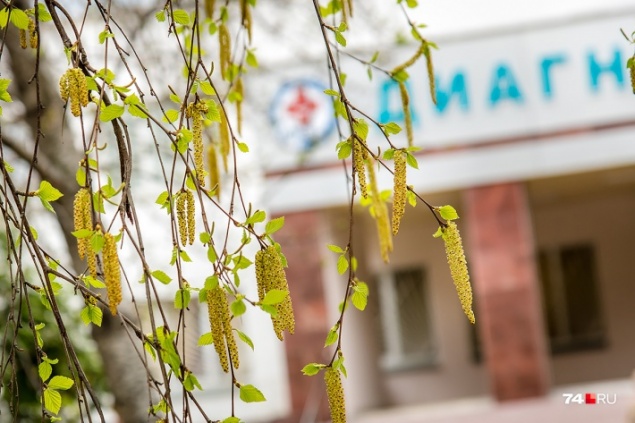 Не перепутайте с простудой: главные ошибки при лечении аллергии