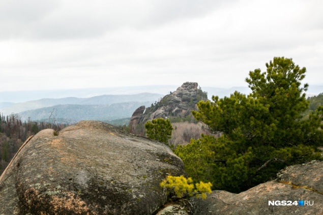 Дирекция «Столбов» объявила об открытии нацпарка