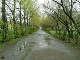 Стратегия формирования современной городской среды доступна горожанам для обсуждения