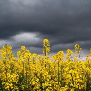 Последняя неделя лета порадует ачинцев теплом