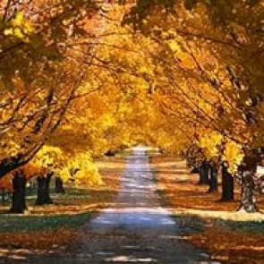 Предстоящая неделя будет теплой и дождливой