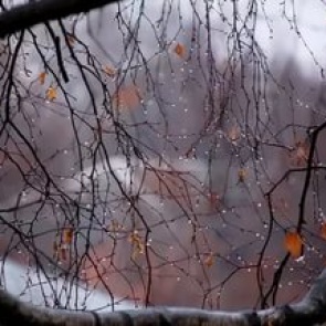 Эта неделя в Ачинске начнется с тепла, а закончится похолоданием