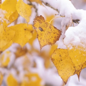 Выходные в Ачинске будут морозными