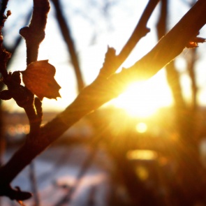Среда станет последним холодным днем перед потеплением