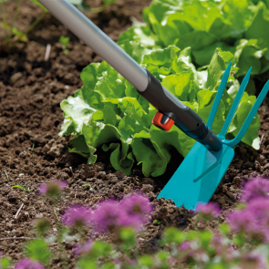 8 СОВЕТОВ ОГОРОДНИКАМ