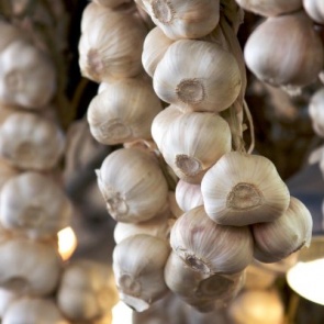 Топ-5 лучших способов хранения чеснока в квартире
