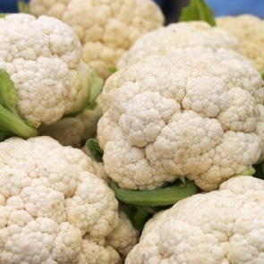 Выращивание цветной капусты в открытом грунте