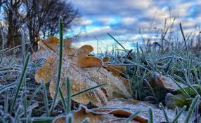 В Красноярск пришли первые заморозки. На выходных будет пасмурно и дождливо