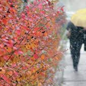 На Красноярск надвигается похолодание и восточный ветер