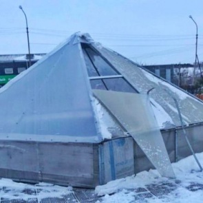 Общественное порицание может защитить скверы и парки от хулиганских разрушений