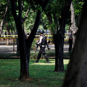 Россиян арестовали за выращивание конопли на Бали