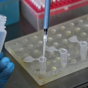 Зараженный коронавирусом китаец извинился за приезд в Россию