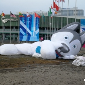 Дирекция Универсиады проиграла в суде казначейству