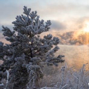 В Красноярске ожидаются теплые выходные