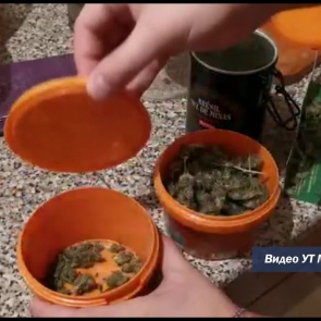 В Красноярском крае поймали крупных наркодельцов