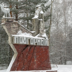 Пропавшая девочка-подросток найдена мертвой