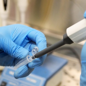 Мошенники начали предлагать красноярцам избавление от коронавируса. Минздрав просит не верить им