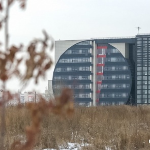 В Сети появились фейковые сайты, собирающие деньги за бесплатные справки