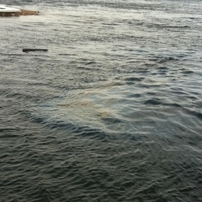 На КНП сообщили о завершении работ по ликвидации разлива топлива в Ангару