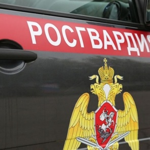 Самоизоляция по высшему разряду: красноярка попыталась украсть из супермаркета элитный коньяк и еду на 15 тысяч