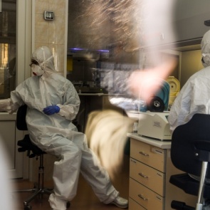 «Анализы сдал весь подъезд»: подробности о распространении COVID-19 в Железногорске