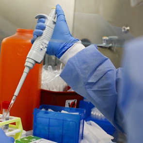 Найдено блокирующее размножение коронавируса лекарство