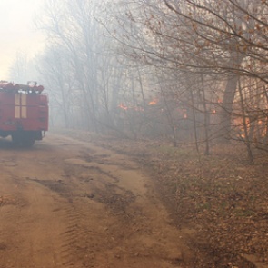Огонь в Чернобыле почти достиг хранилищ с радиоактивными отходами