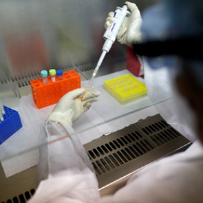 Стало известно об исследовавшей коронавирус летучих мышей лаборатории в Ухане 22