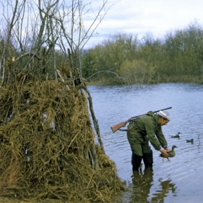 Из-за коронавируса весеннюю охоту разрешат только на севере Красноярского края
