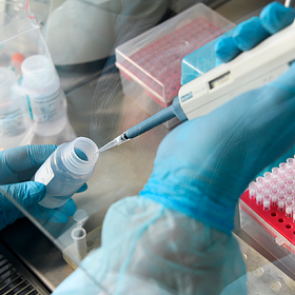 Российские вакцины от коронавируса вошли в перечень ВОЗ